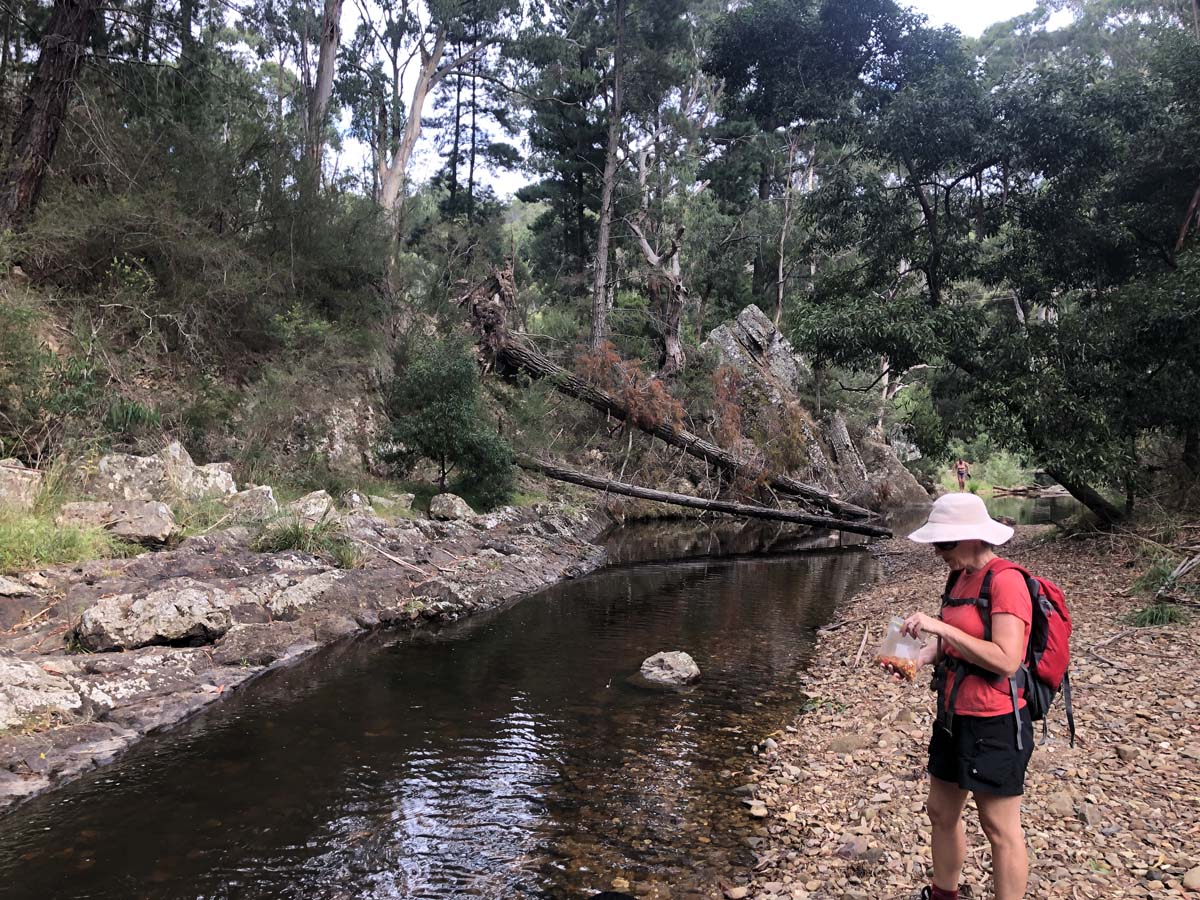 Ruths gully byers back track 32