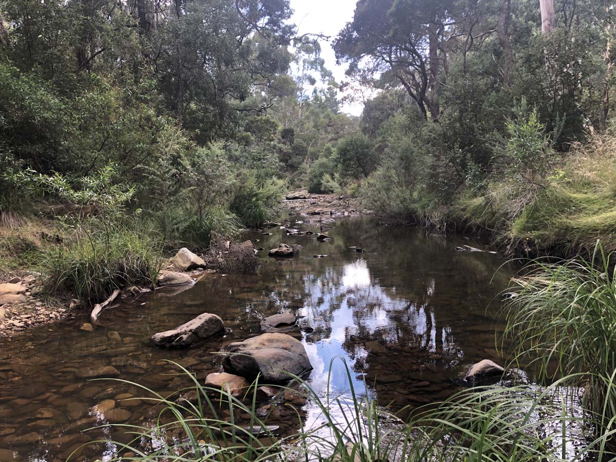 Ruths gully byers back track 33
