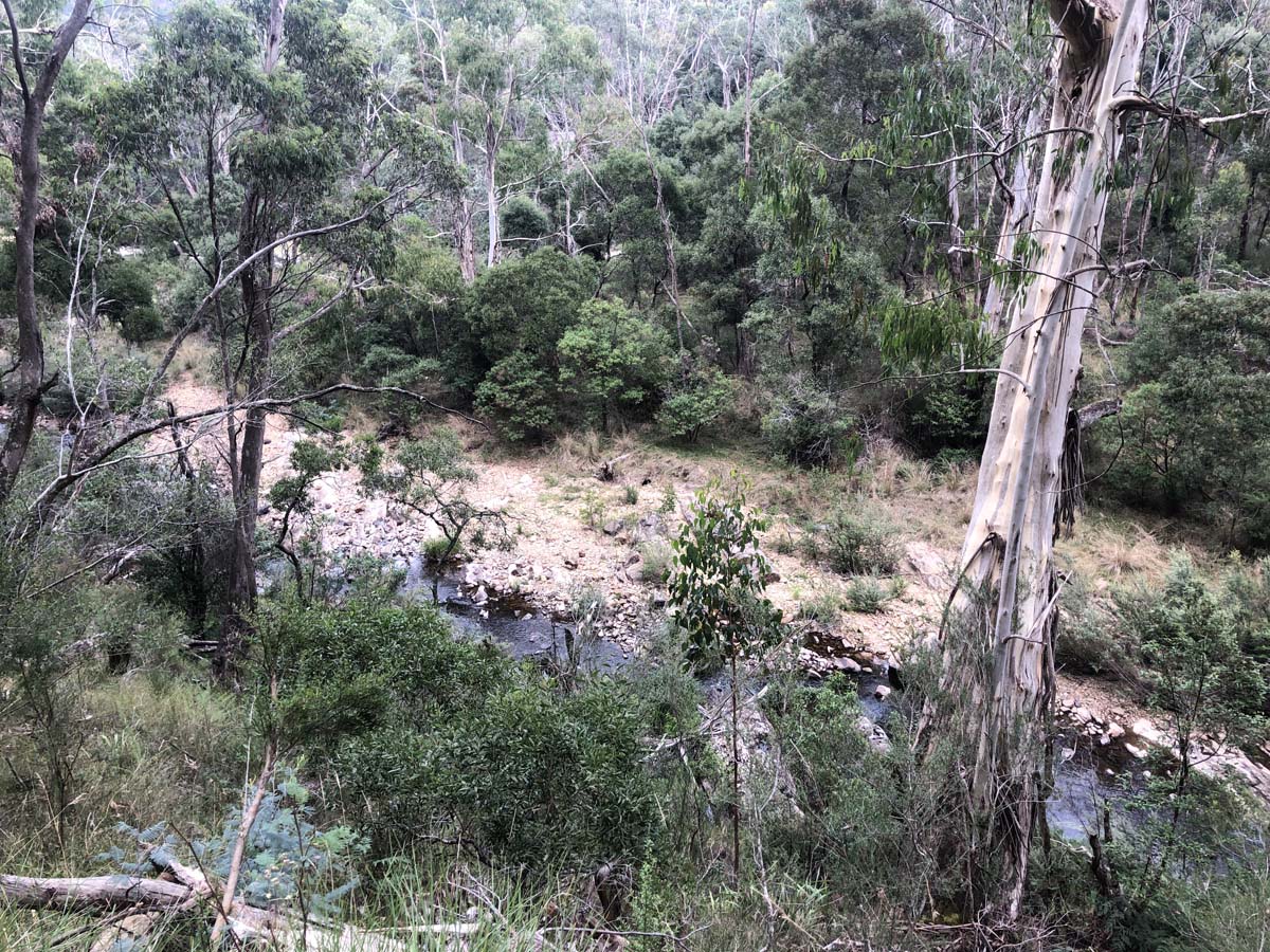 Ruths gully byers back track 35