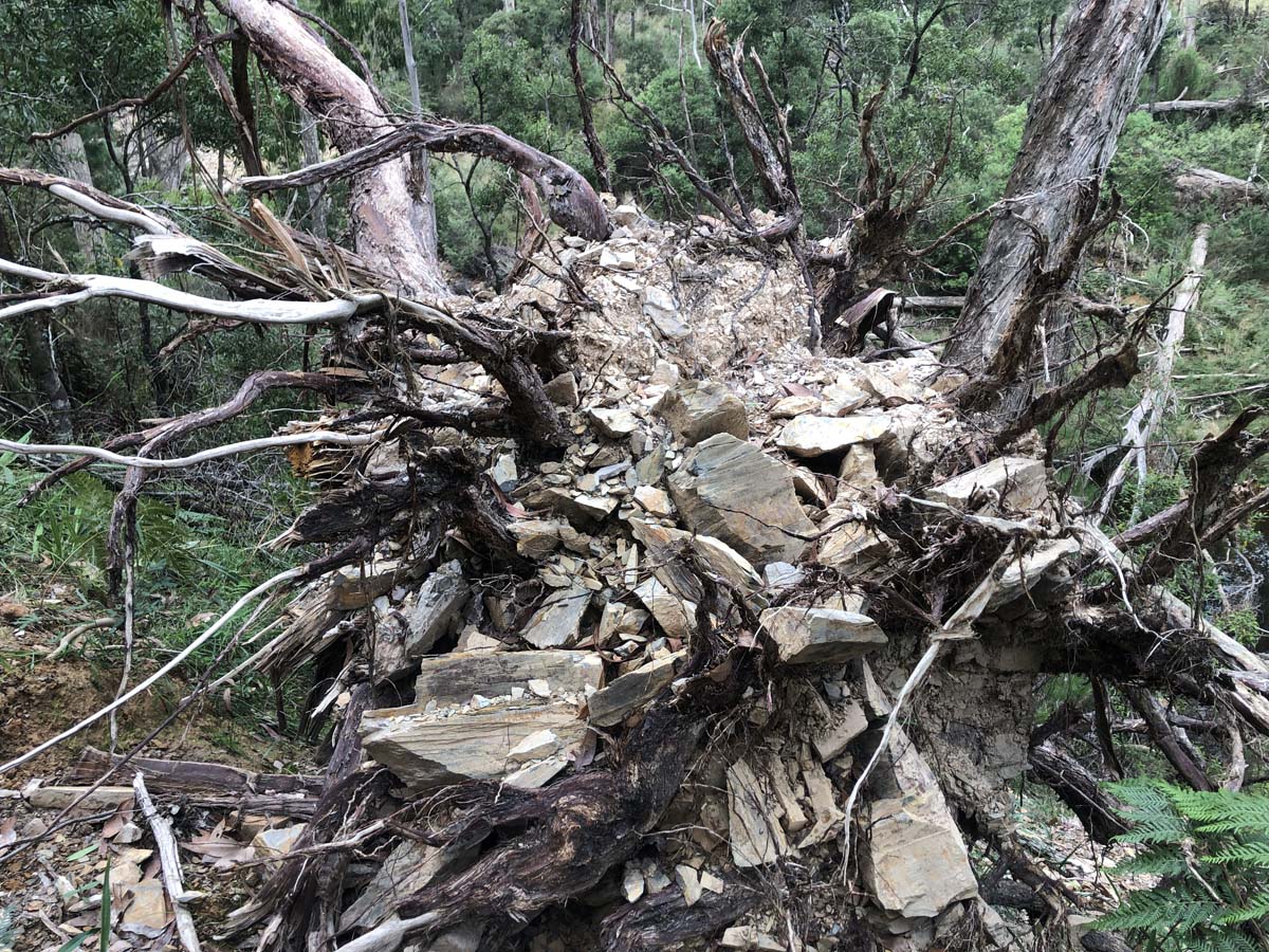 Ruths gully byers back track 36