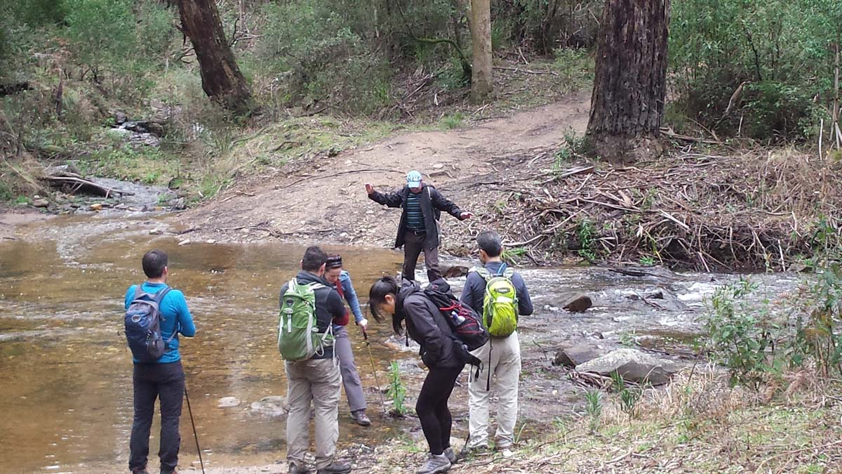 Ruths gully circuit hike 22