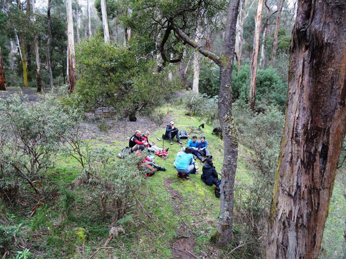 Ruths gully circuit hike 24