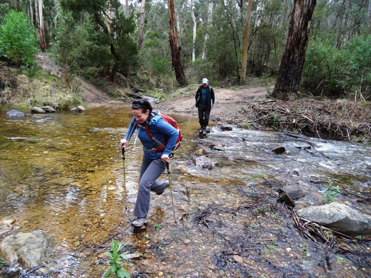 Ruths gully circuit hike 25