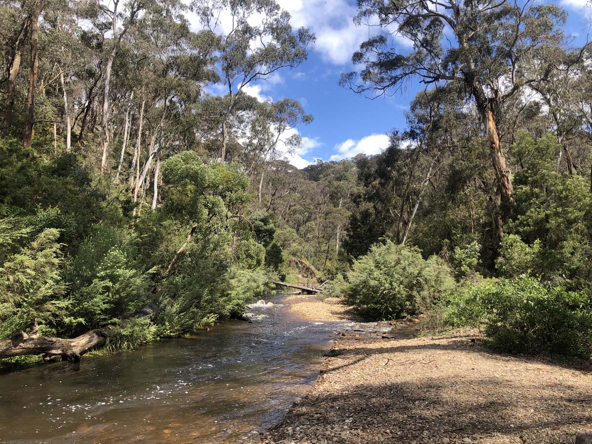 Ruths gully circuit hike 33