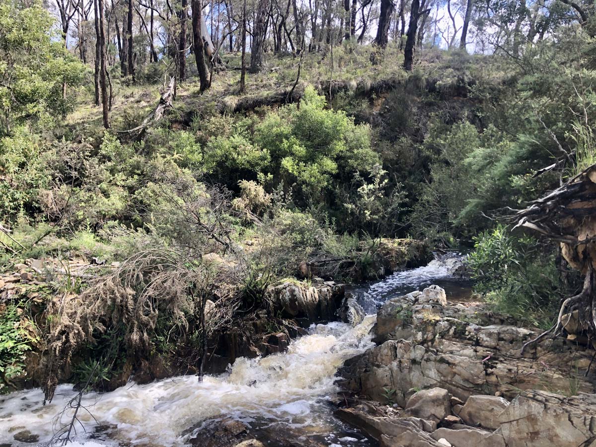 Ruths gully circuit hike 34