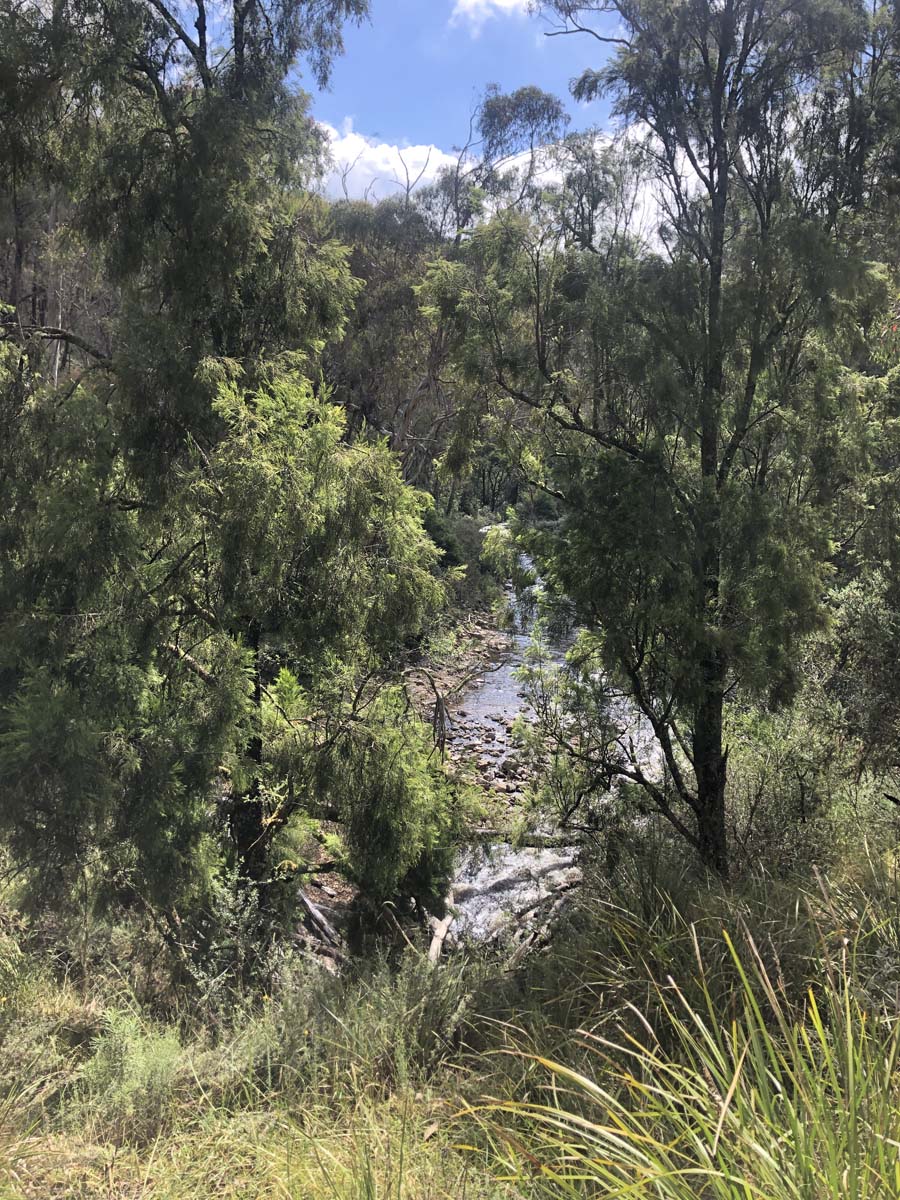 Ruths gully circuit hike 36