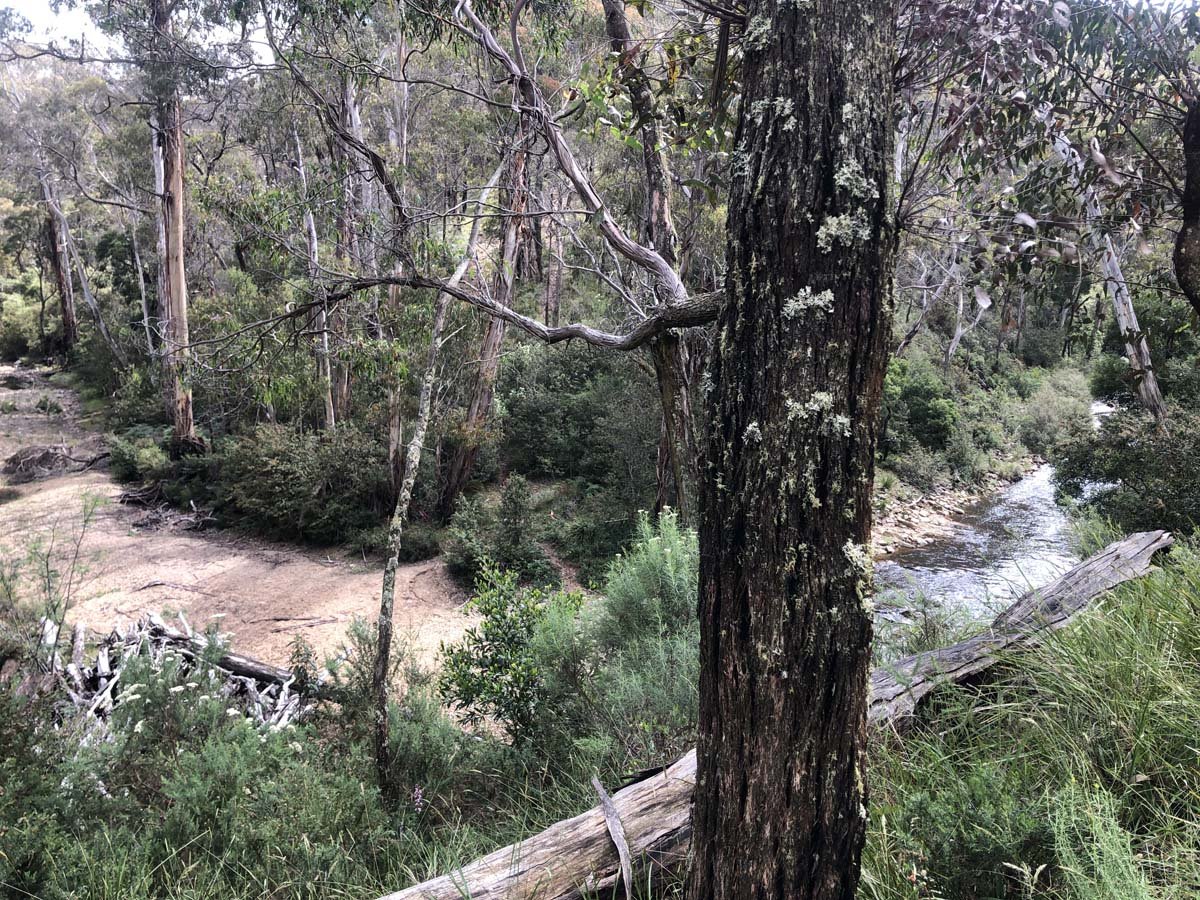 Ruths gully circuit hike 38