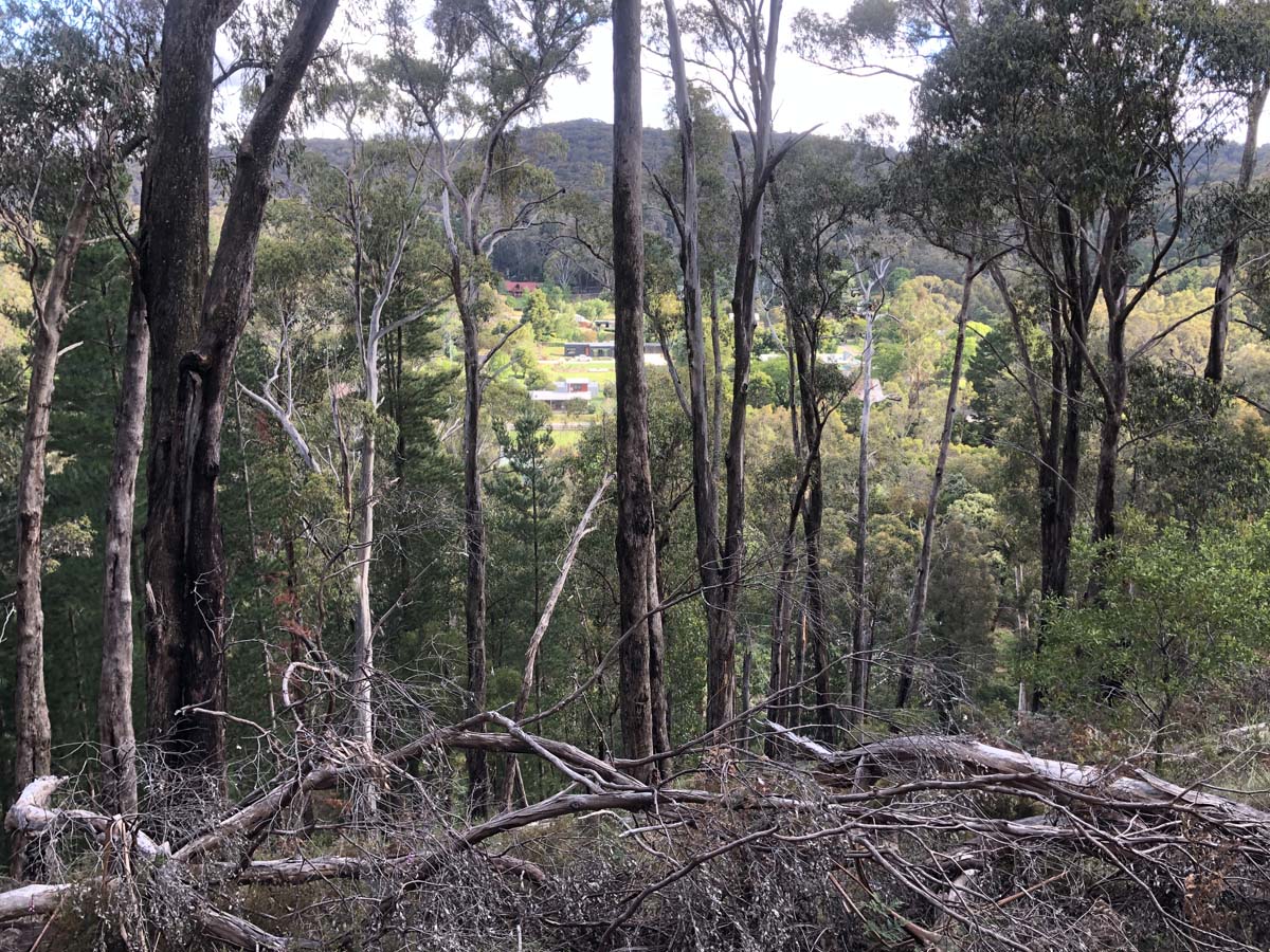 Ruths gully circuit hike 46