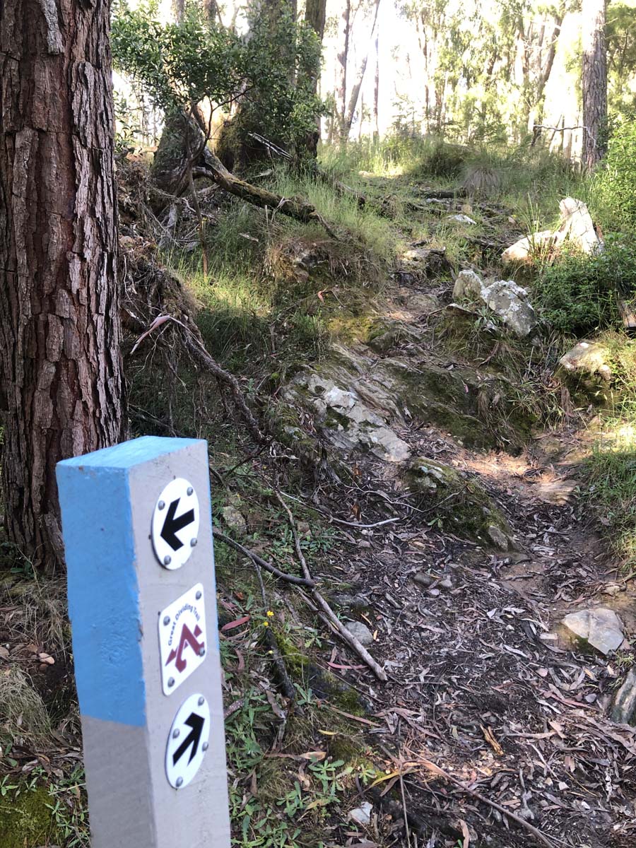 Ruths gully circuit hike 48