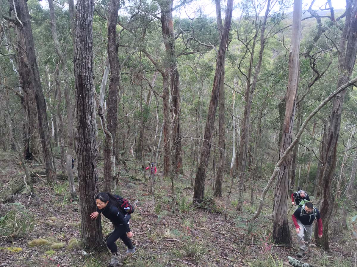 Ruths gully circuit hike 5