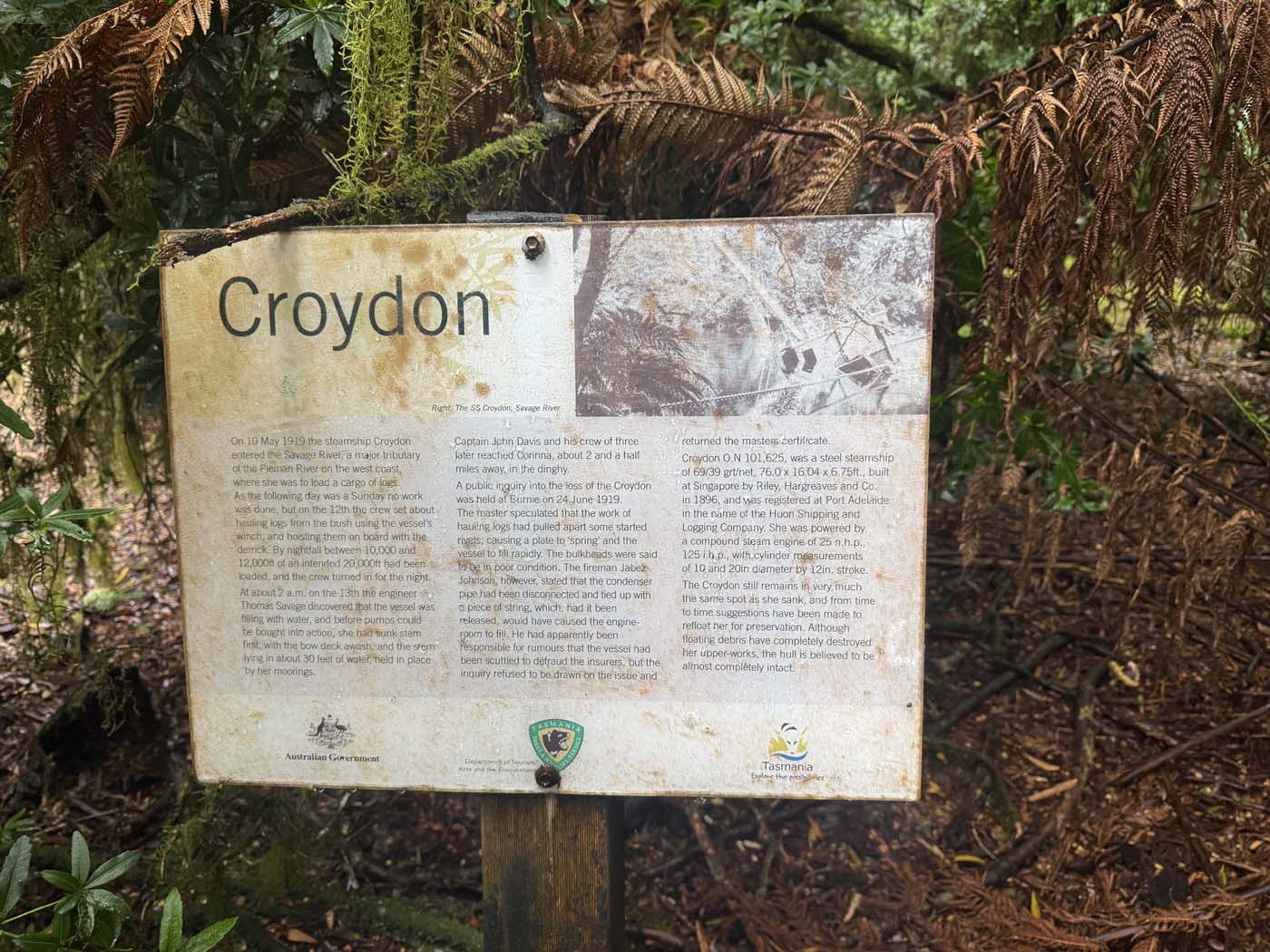 Savage river walk (10)