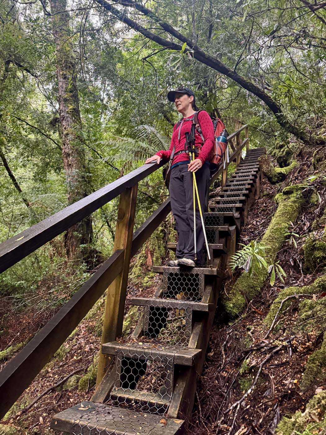 Savage river walk (9)