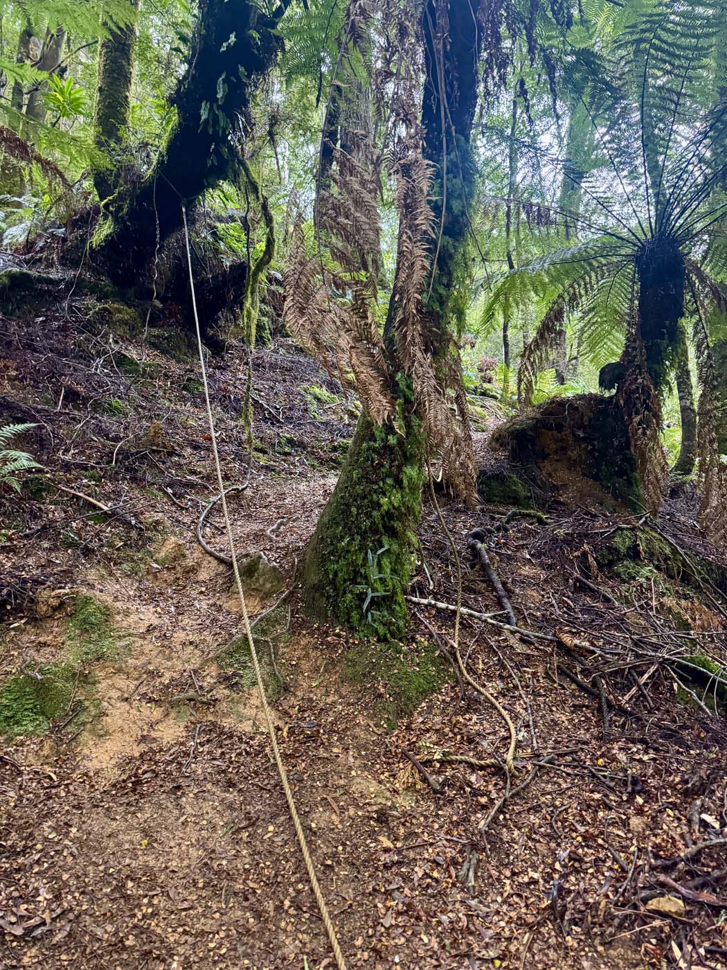 Savage river and link track (12)