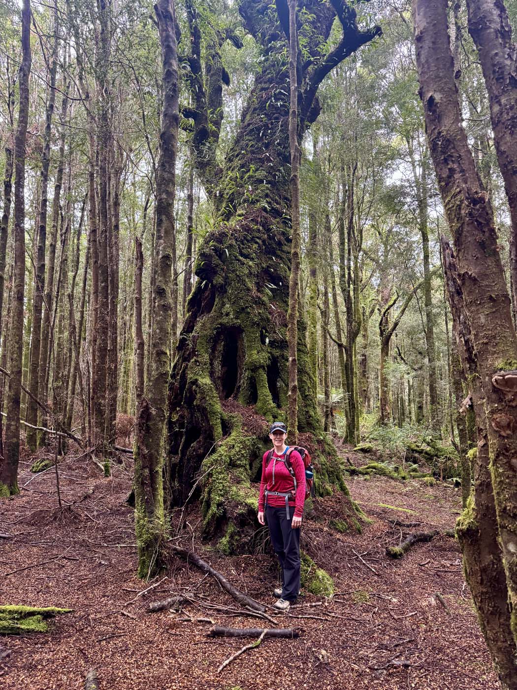 Savage river and link track (15)