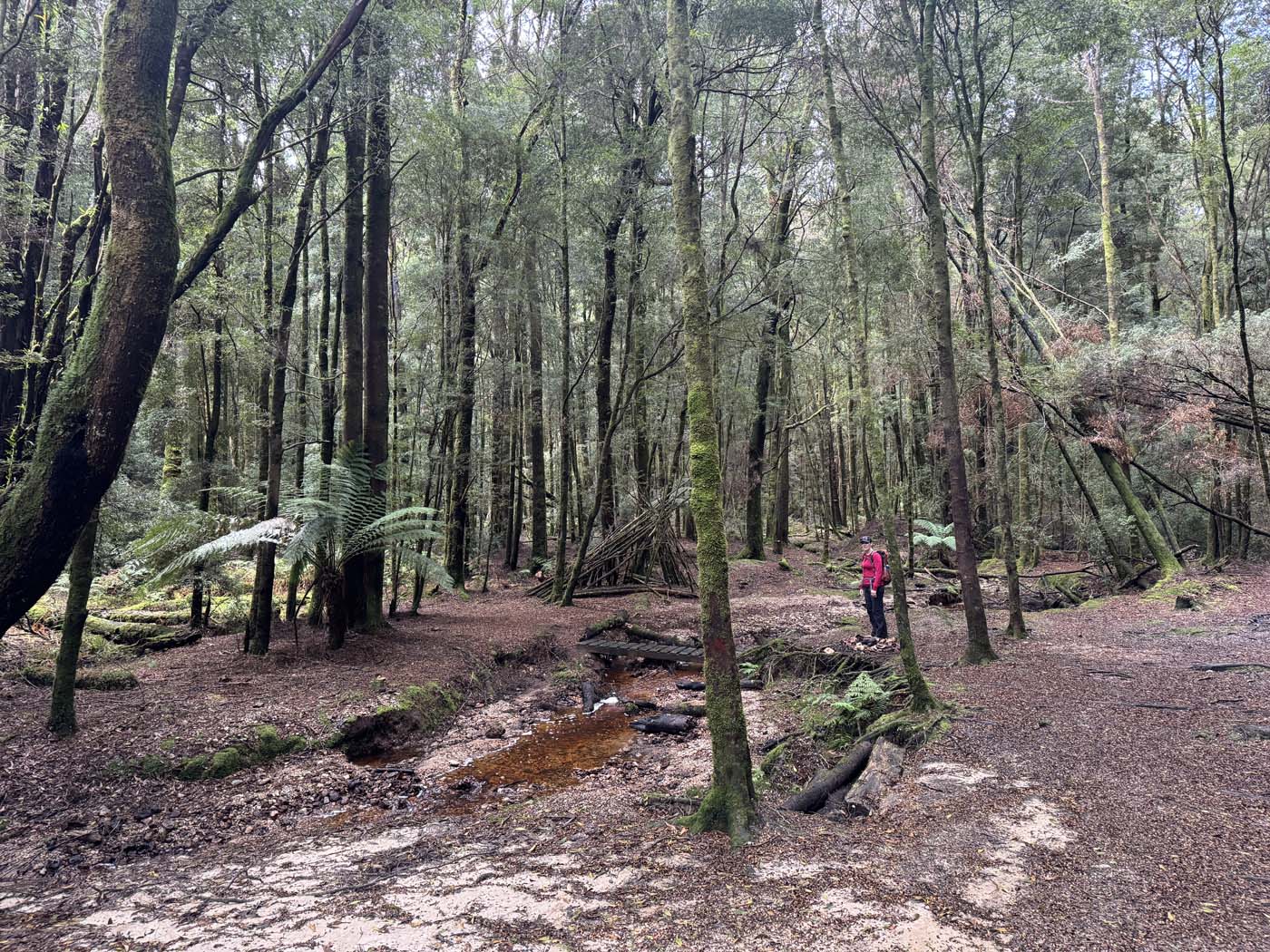 Savage river and link track (17)