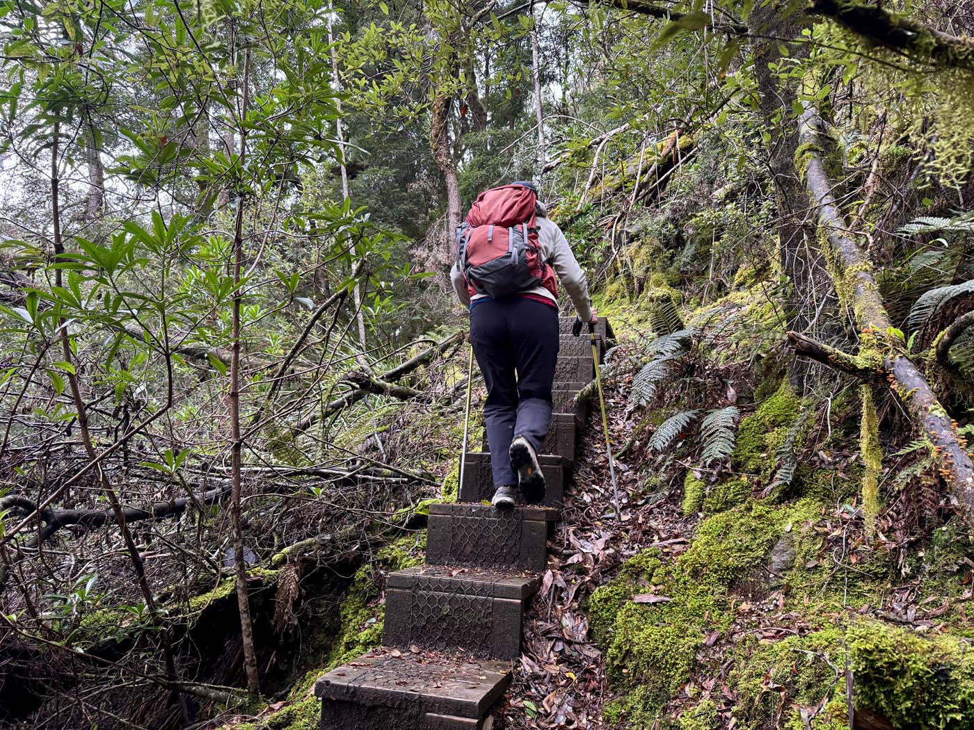 Savage river and link track (3)