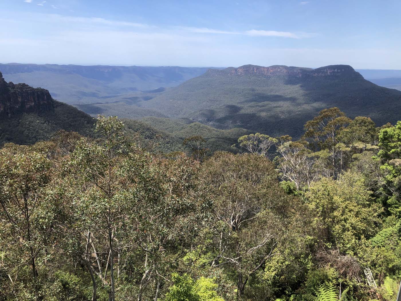 Scenic world to mt solitary (1)