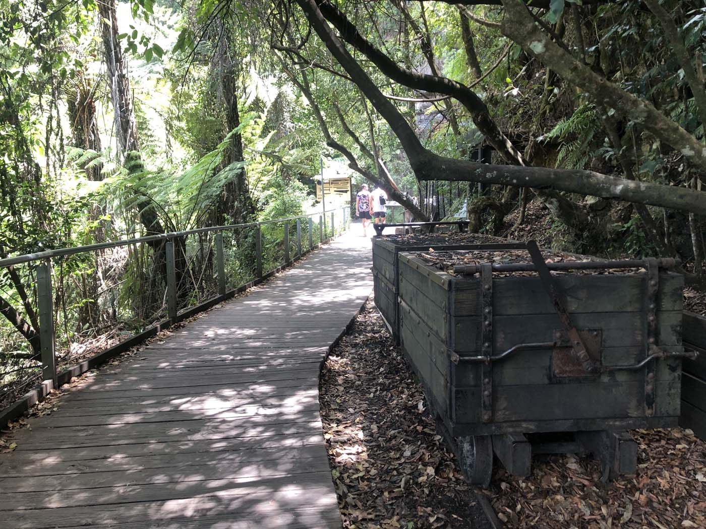 Scenic world to mt solitary (10)