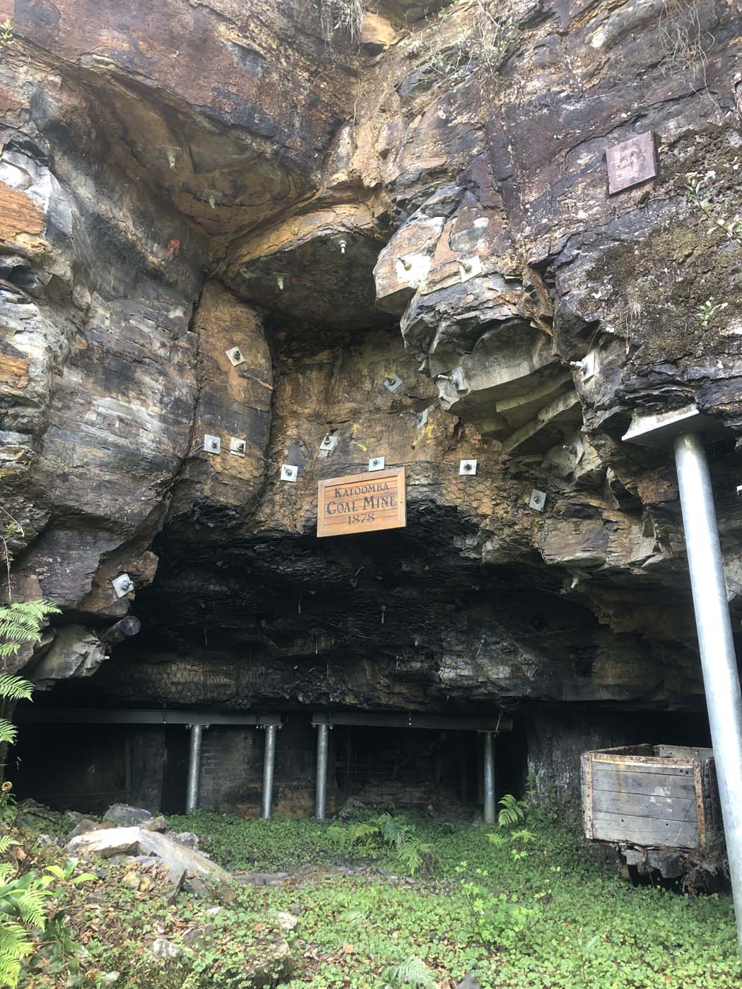 Scenic world to mt solitary (11)