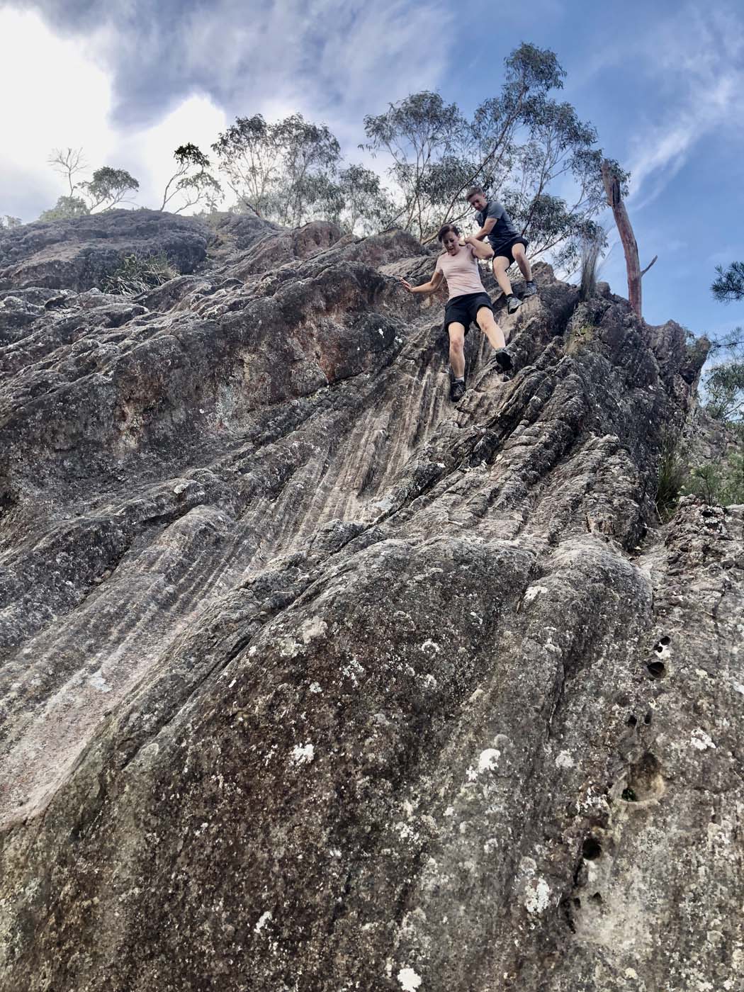 Scenic world to mt solitary (27)