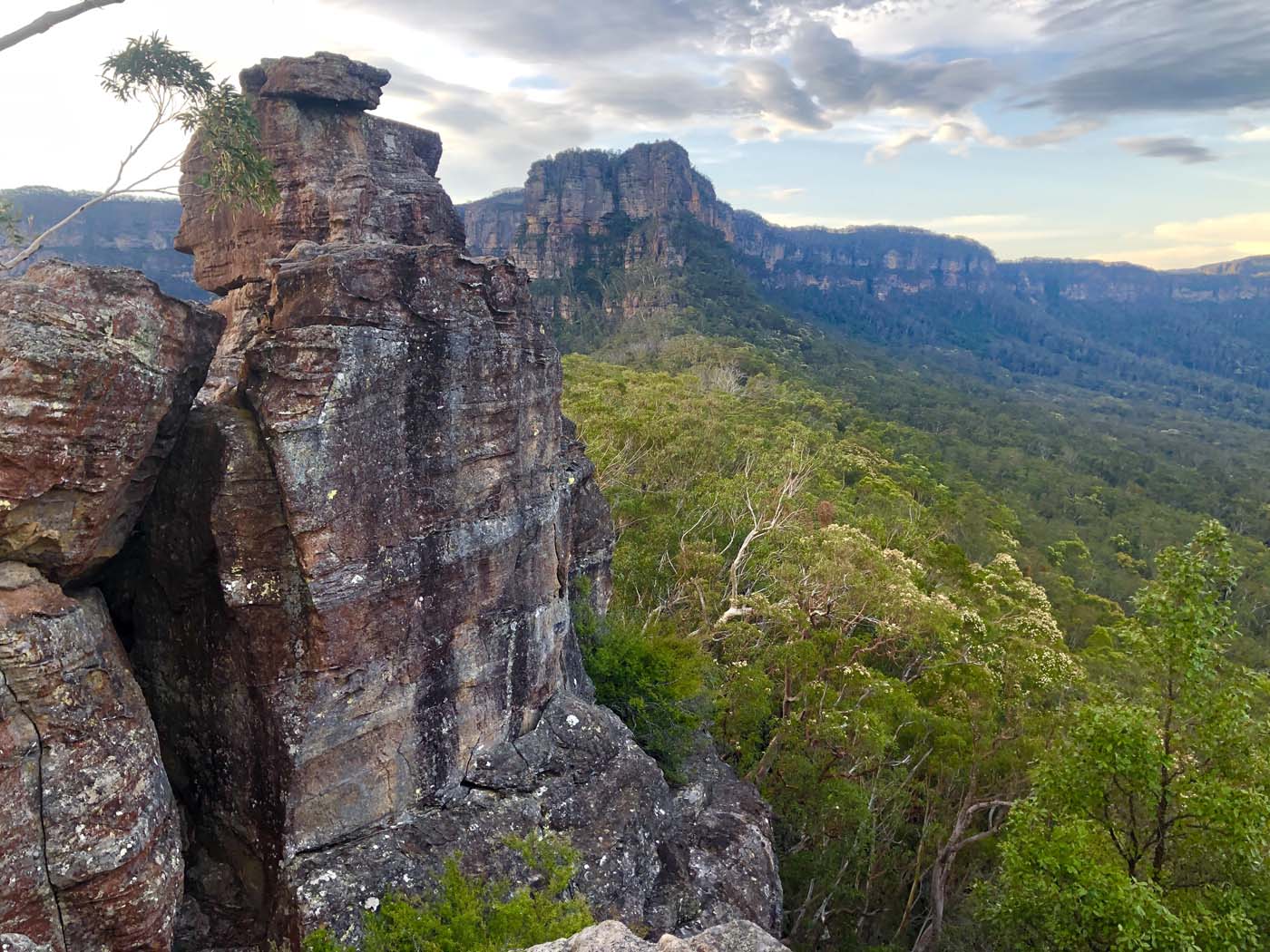 Scenic world to mt solitary (30)