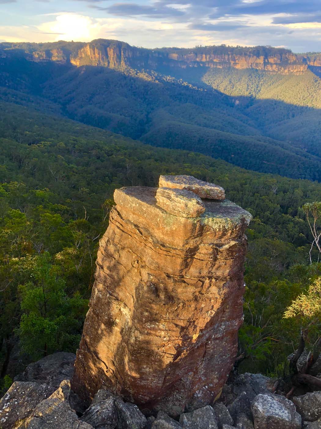 Scenic world to mt solitary (34)