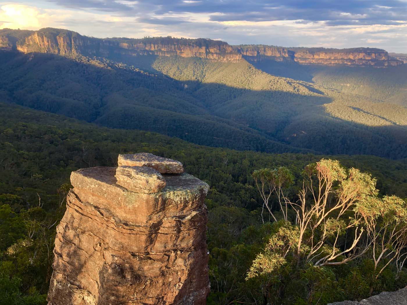 Scenic world to mt solitary (35)