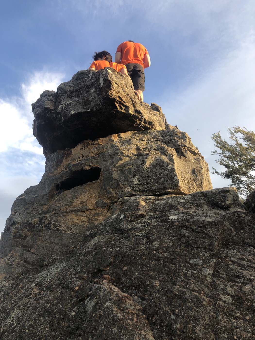 Scenic world to mt solitary (36)