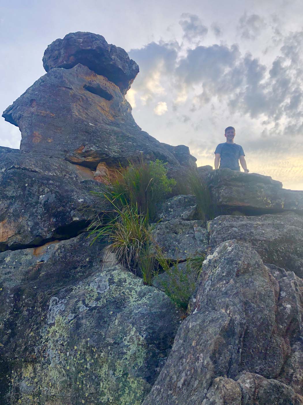 Scenic world to mt solitary (37)