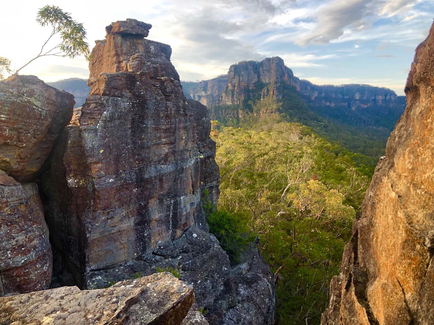 Scenic world to mt solitary (38)