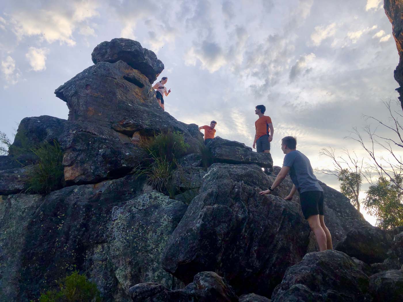 Scenic world to mt solitary (40)