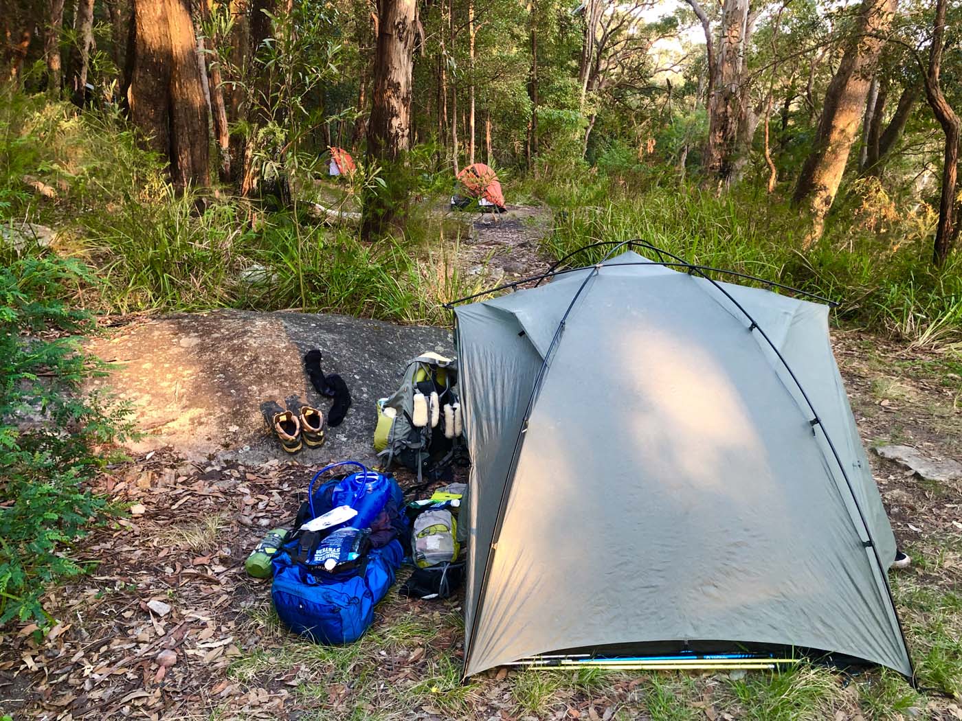 Scenic world to mt solitary (43)