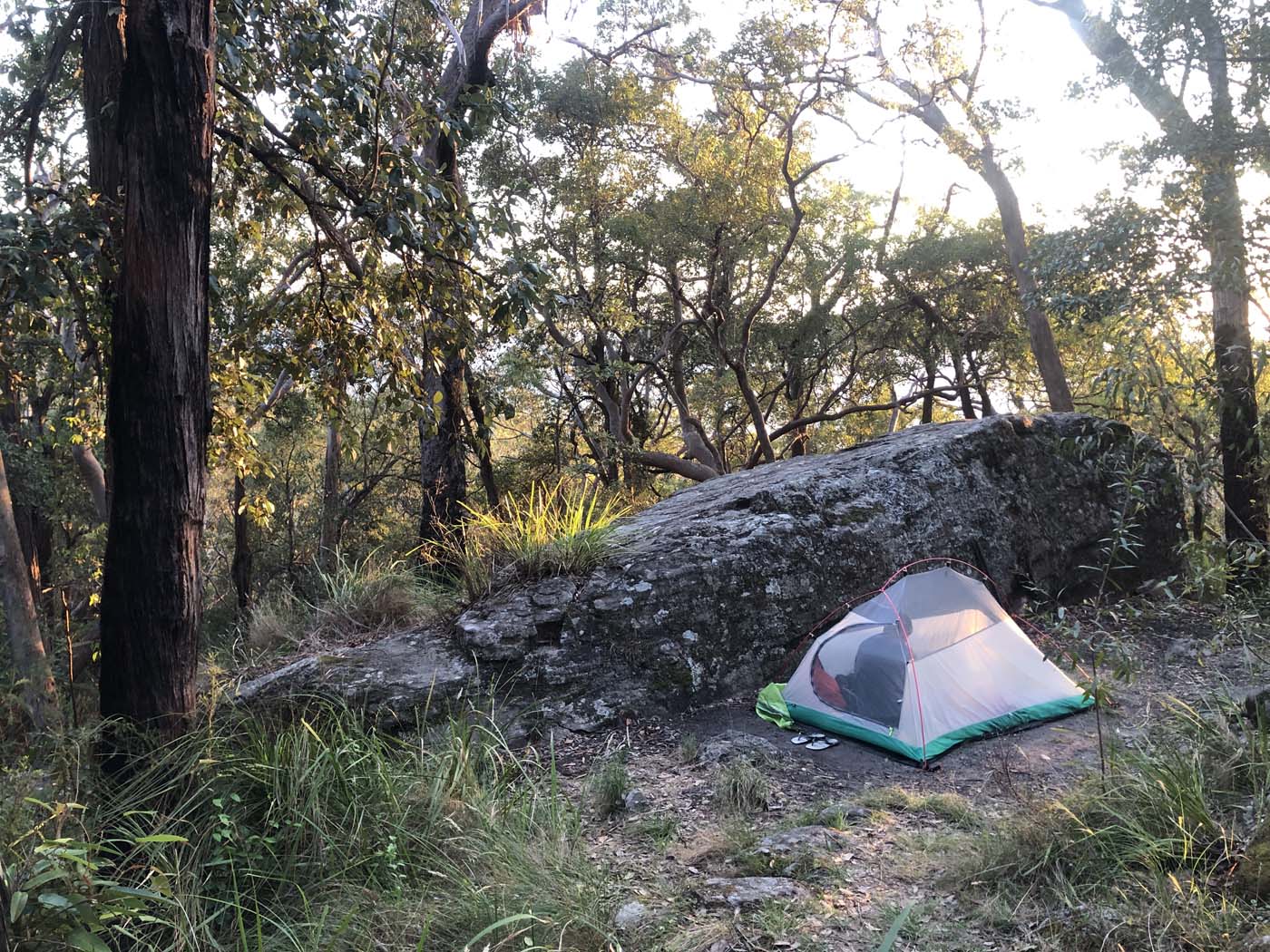Scenic world to mt solitary (44)