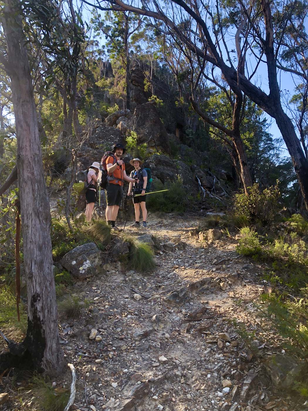 Scenic world to mt solitary (45)