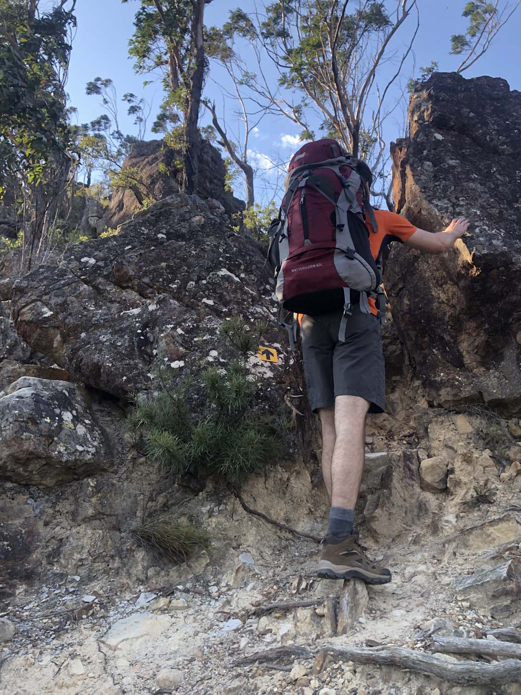 Scenic world to mt solitary (46)
