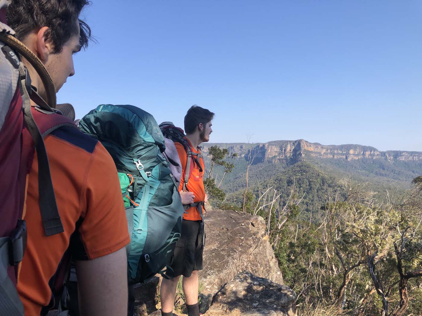 Scenic world to mt solitary (50)