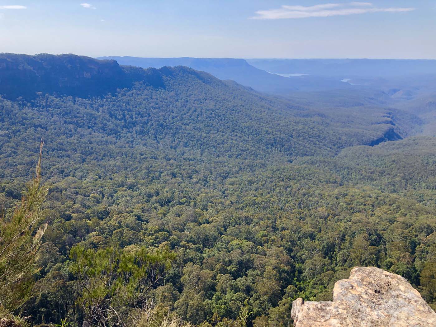 Scenic world to mt solitary (64)