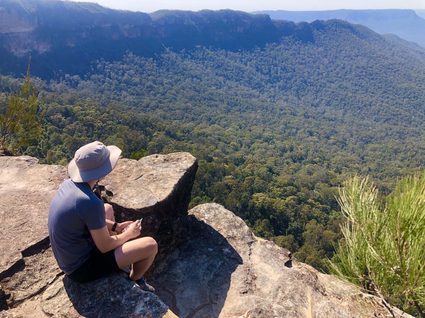 Scenic world to mt solitary (69)