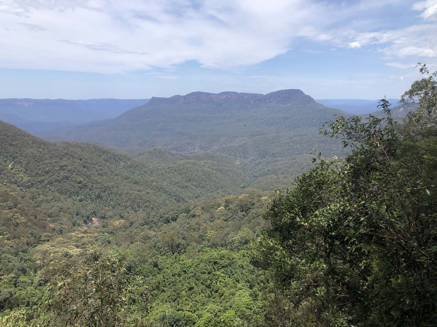 Scenic world to mt solitary (7)