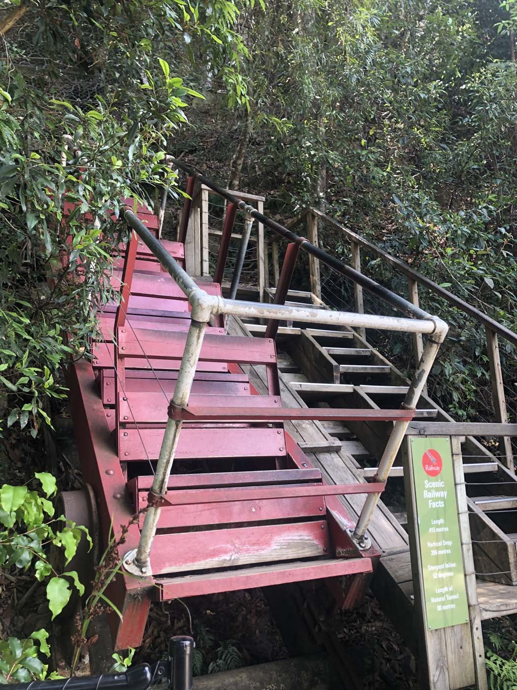 Scenic world to mt solitary (9)