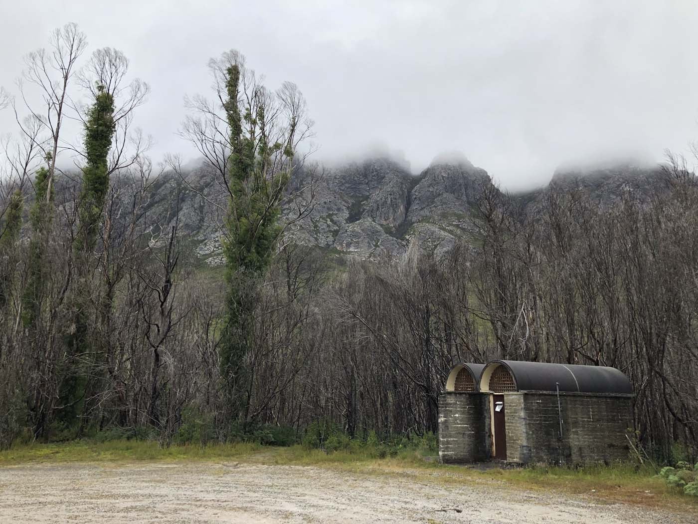 Sentinels summit track tasmania (1)