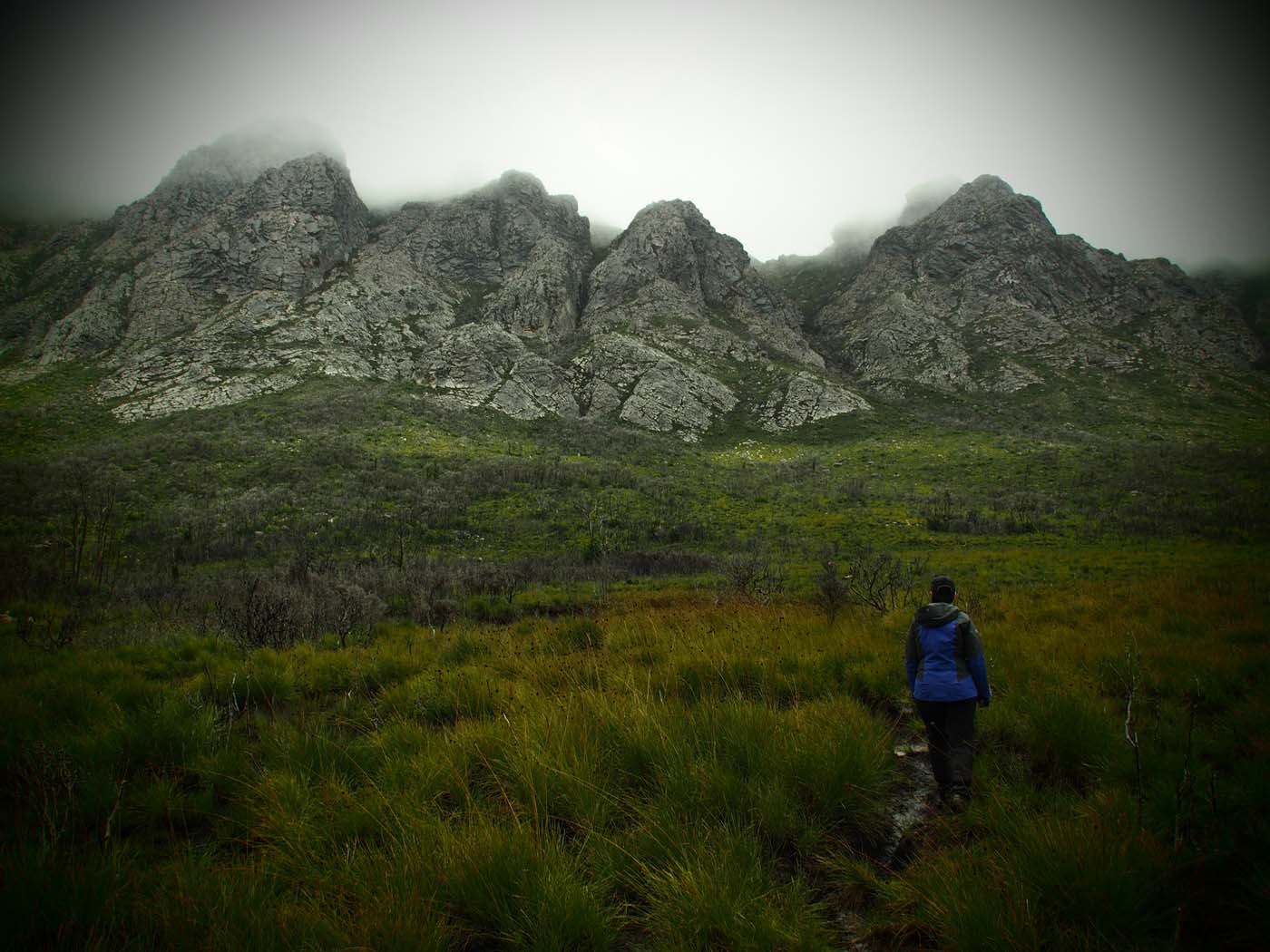 Sentinels summit track tasmania (11)
