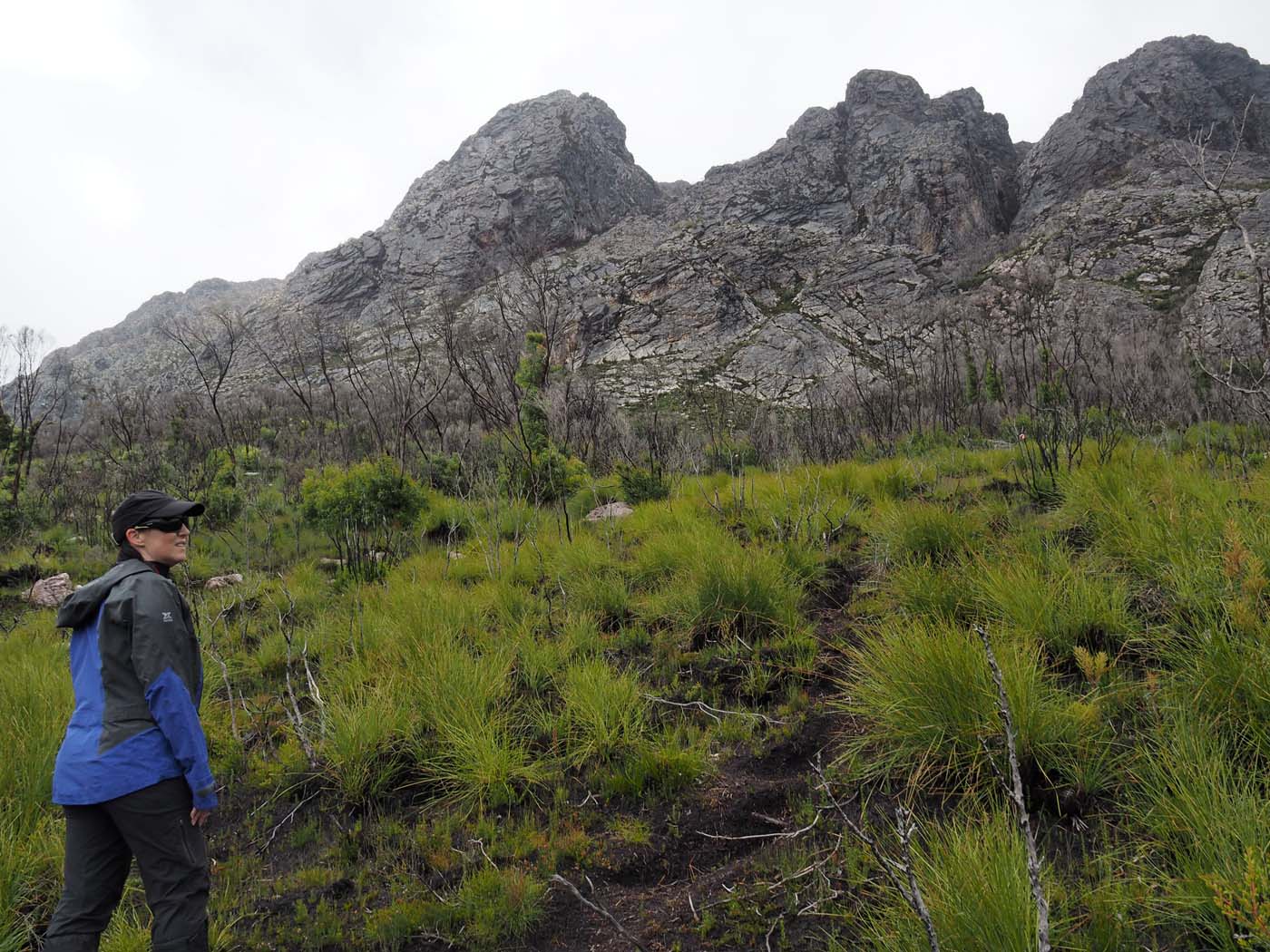 Sentinels summit track tasmania (12)