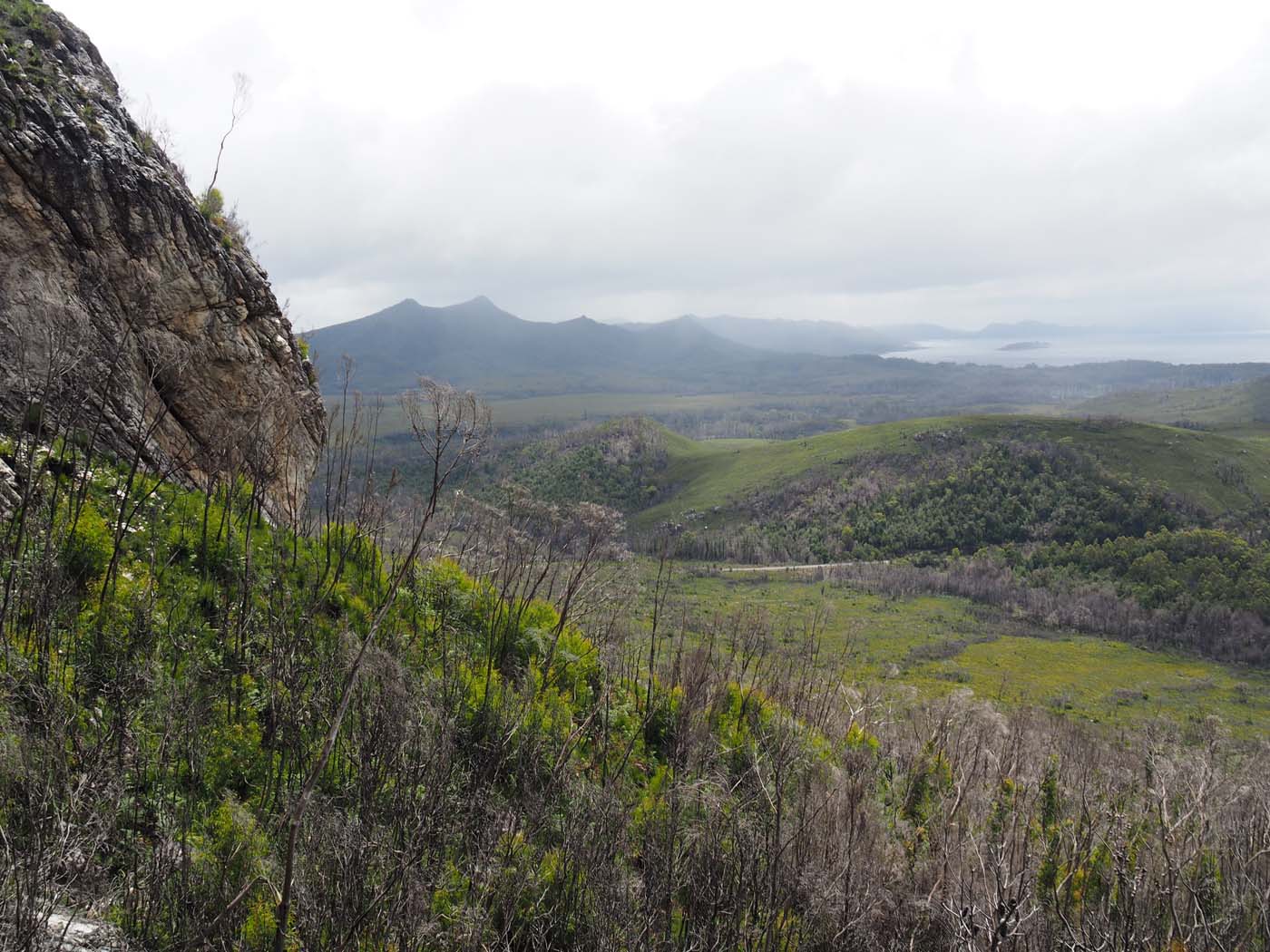 Sentinels summit track tasmania (15)