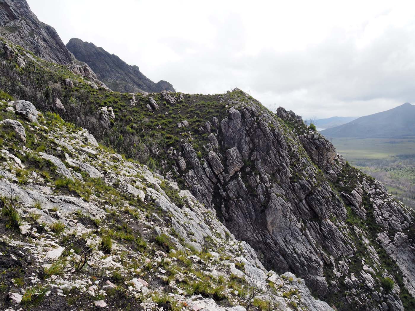 Sentinels summit track tasmania (19)