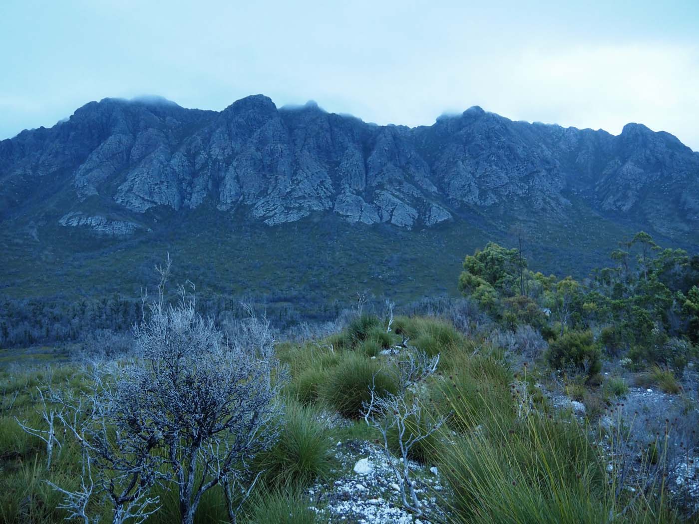 Sentinels summit track tasmania (2)