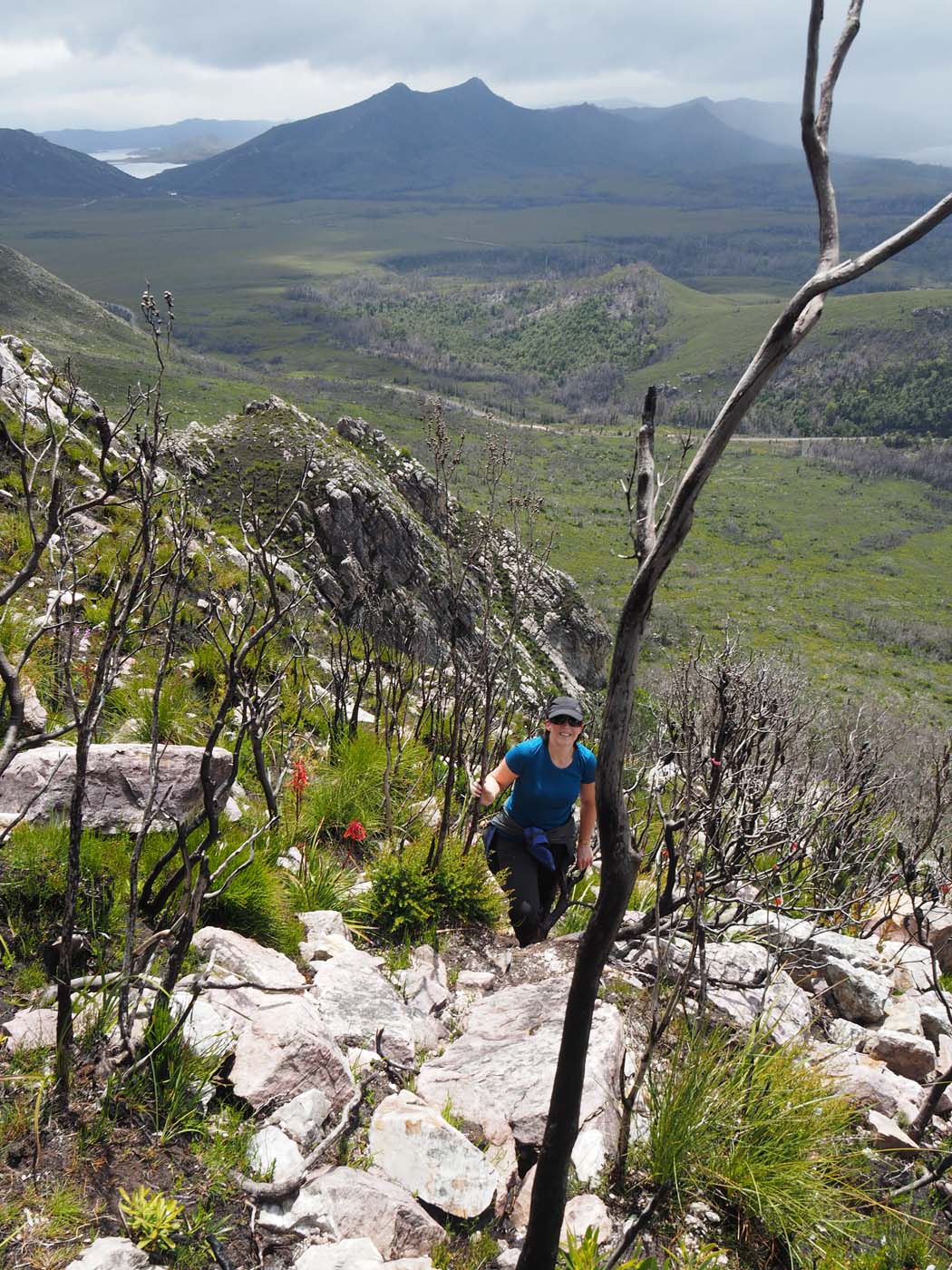 Sentinels summit track tasmania (20)