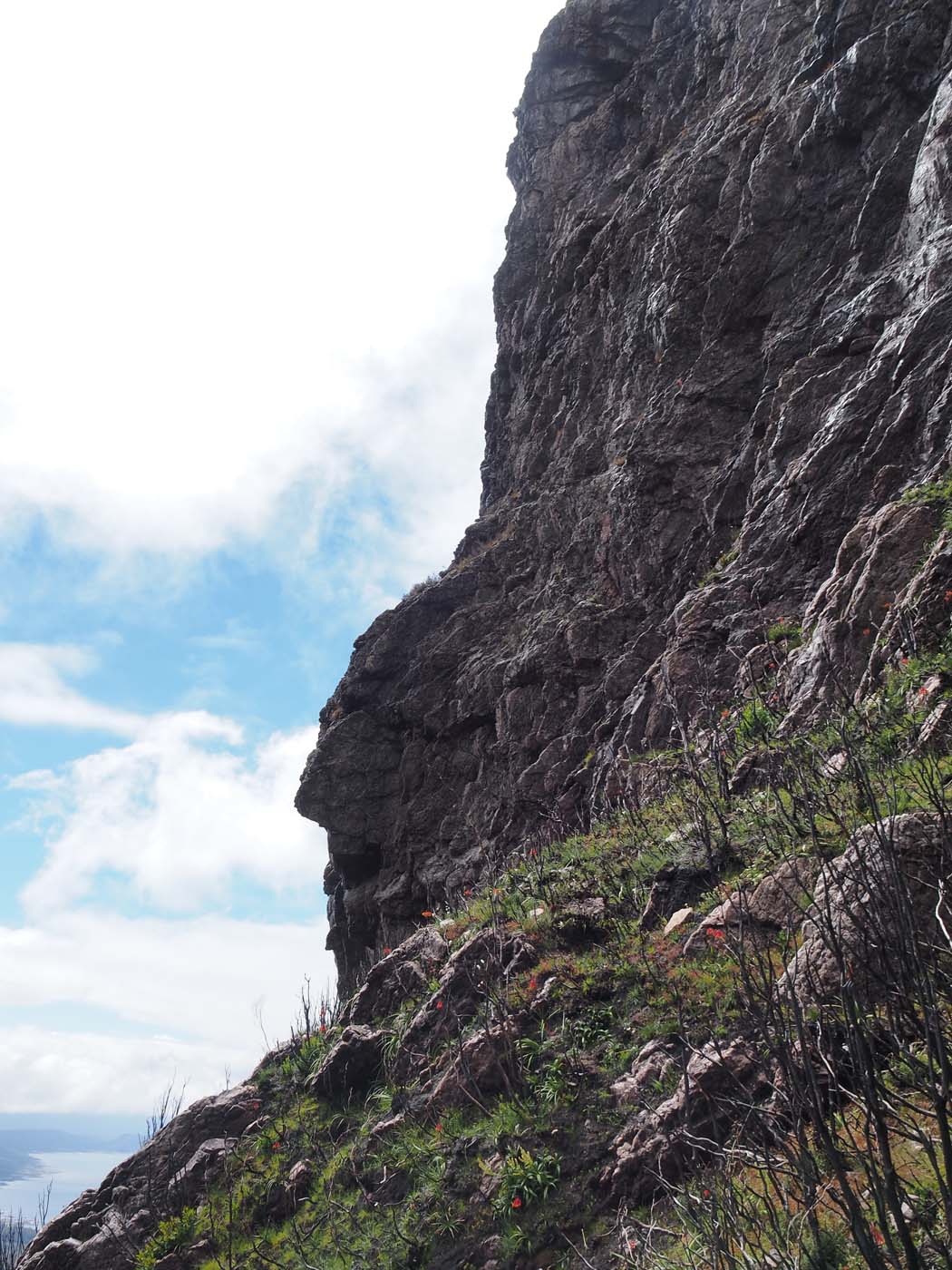 Sentinels summit track tasmania (28)