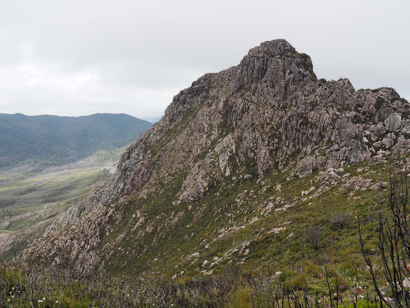Sentinels summit track tasmania (34)