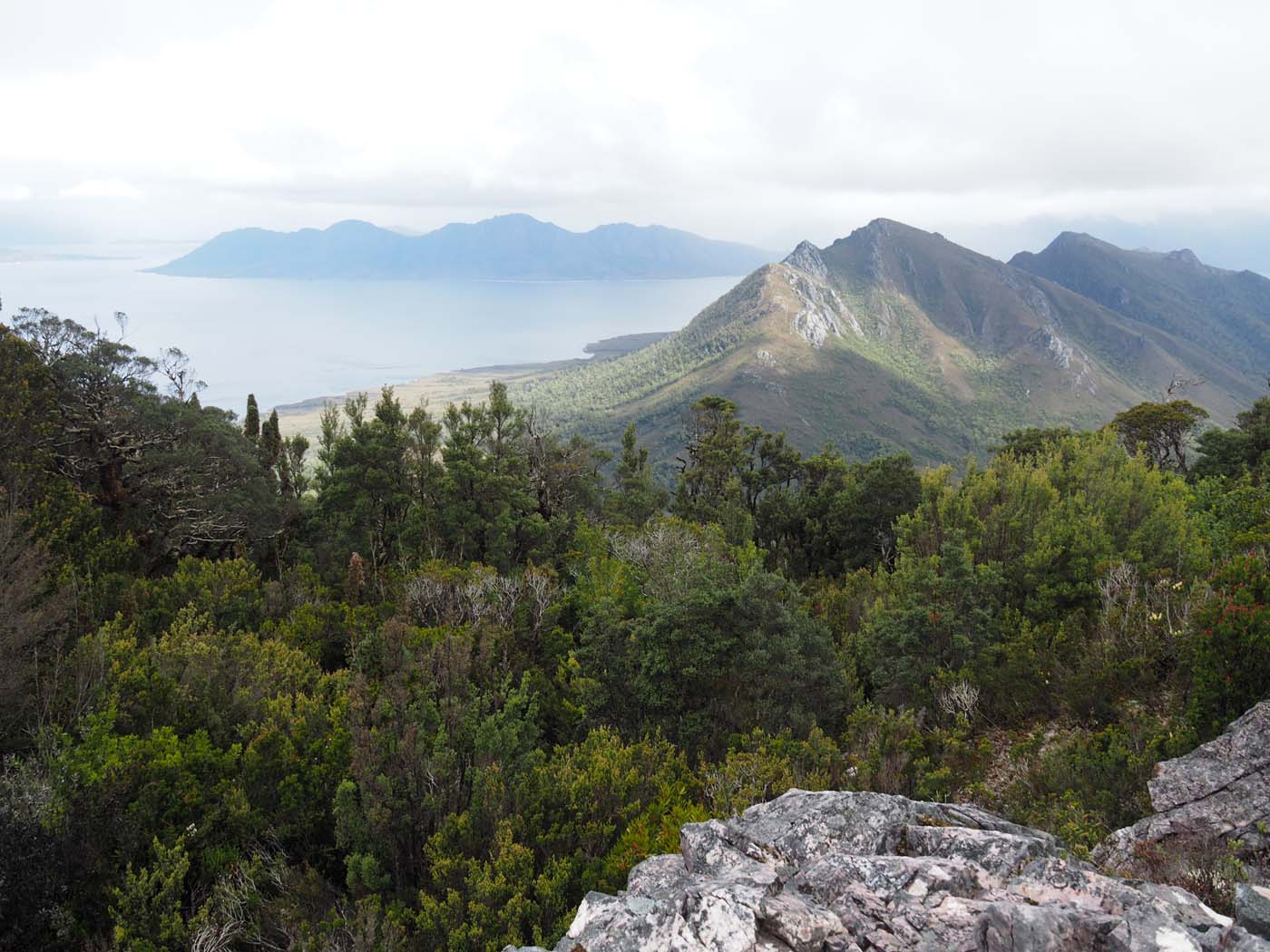 Sentinels summit track tasmania (36)